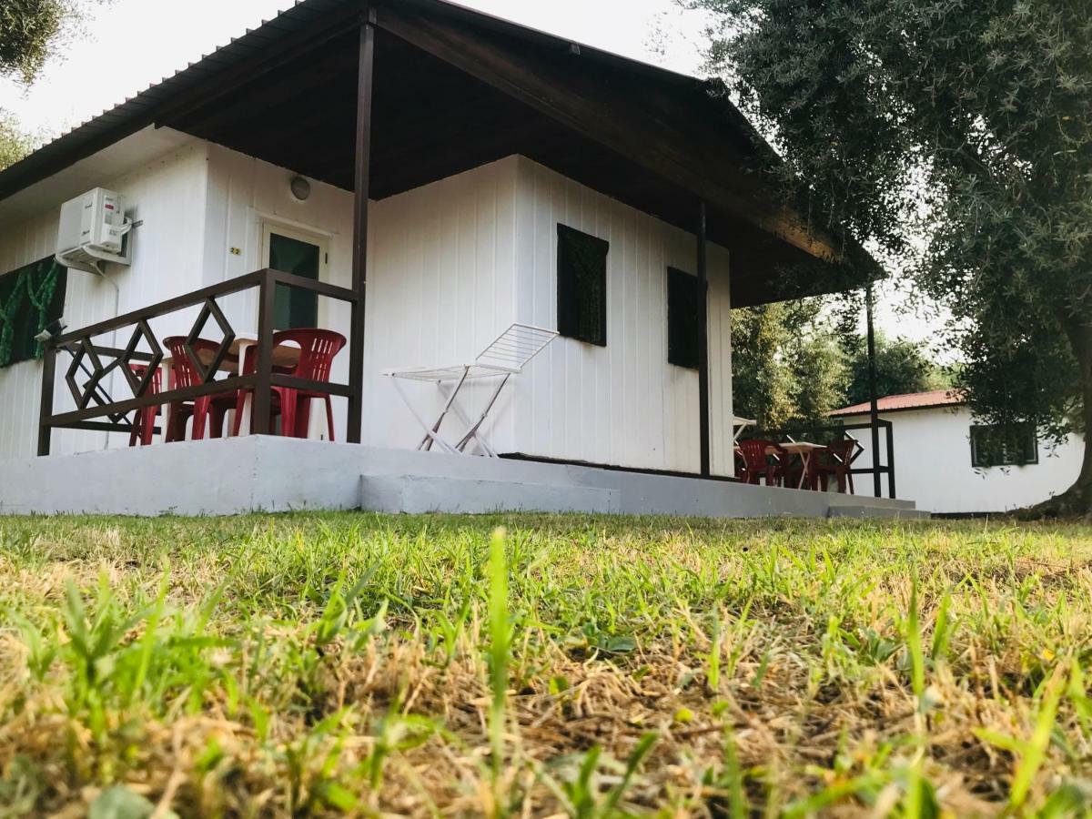 Hotel Funno Delle Noci Peschici Exterior foto