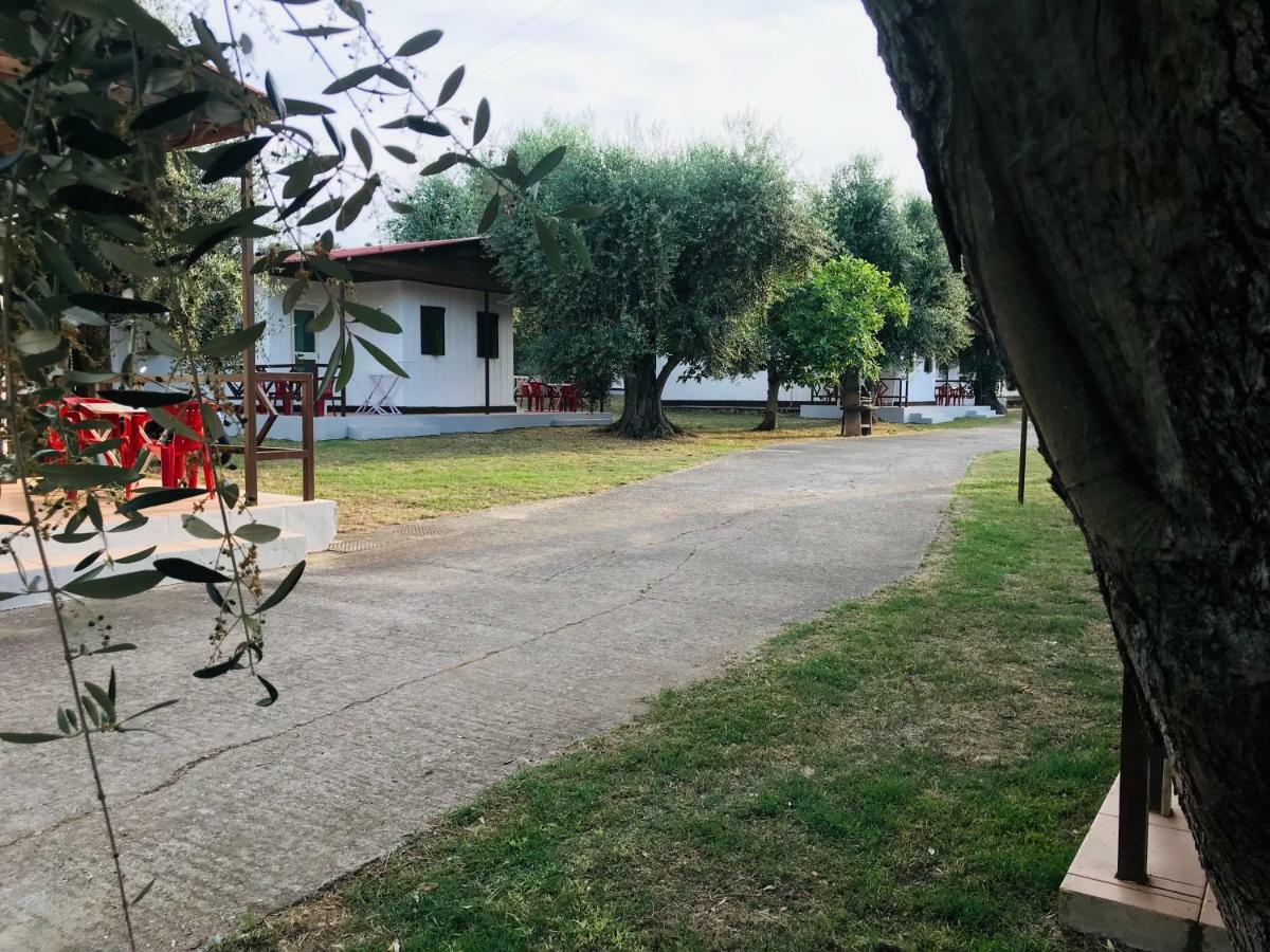 Hotel Funno Delle Noci Peschici Exterior foto